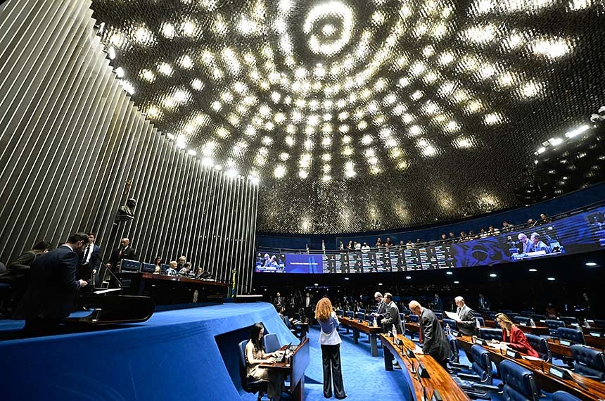 Senado aprova guarda compartilhada de animais de estimação